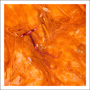 Rainbow Squared Series Six 08. Orange Red. An IUD is outlined in red and photographed inside of a pumpkin scraped of its seeds.