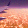 Rainbow Squared, Year 5, Piece Twenty-Five: 13. Orange Purple. A looping animation of the view outside an airplane window with the wing visible and the clouds below. The sky and the wing are tinted purple and the sky is tinted orange, with the hues and filters switching on a loop.
