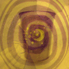 Rainbow Squared, Year 5, Piece Forty: 20. Yellow Purple. A silhouette of a yellow and purple spiral painted on a pregnant belly overlaid on top of a spinning purple plastic cup on a yellow background that fades to reveal a figure, with the faint image of a sewing machine and hands sewing face masks barely perceptible in the background. All images from previous years of Yellow Purple Rainbow Squared.